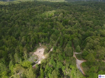 Rocky Hill Road, Bonnieville, Kentucky 42713, ,For Sale,Rocky Hill Road,HK24003520 Rocky Hill Road, Bonnieville, Kentucky 42713, ,For Sale,Rocky Hill Road,HK24003520