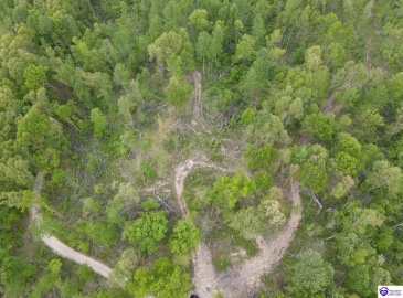 Rocky Hill Road, Bonnieville, Kentucky 42713, ,For Sale,Rocky Hill Road,HK24003520 Rocky Hill Road, Bonnieville, Kentucky 42713, ,For Sale,Rocky Hill Road,HK24003520