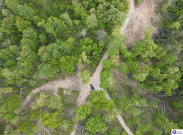 Rocky Hill Road, Bonnieville, Kentucky 42713, ,For Sale,Rocky Hill Road,HK24003520 Rocky Hill Road, Bonnieville, Kentucky 42713, ,For Sale,Rocky Hill Road,HK24003520