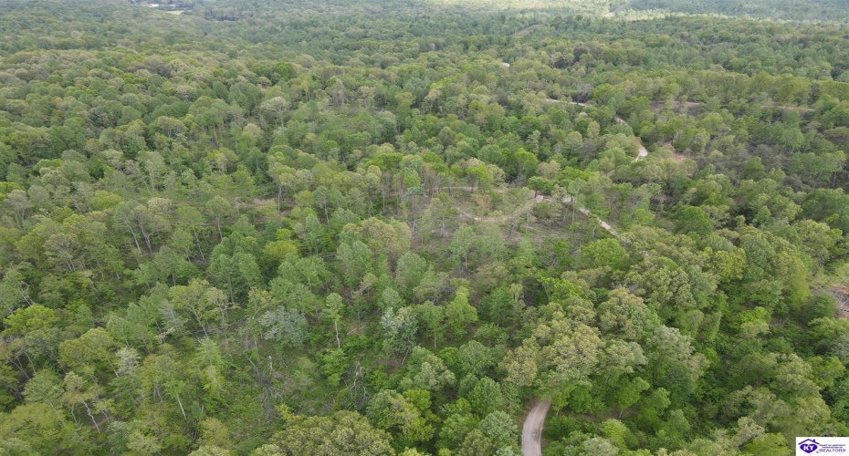 Rocky Hill Road, Bonnieville, Kentucky 42713, ,For Sale,Rocky Hill Road,HK24003520 Rocky Hill Road, Bonnieville, Kentucky 42713, ,For Sale,Rocky Hill Road,HK24003520