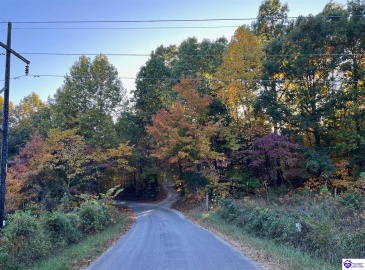 Rocky Hill Road, Bonnieville, Kentucky 42713, ,For Sale,Rocky Hill Road,HK24003520 Rocky Hill Road, Bonnieville, Kentucky 42713, ,For Sale,Rocky Hill Road,HK24003520