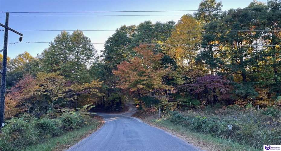 Rocky Hill Road, Bonnieville, Kentucky 42713, ,For Sale,Rocky Hill Road,HK24003520 Rocky Hill Road, Bonnieville, Kentucky 42713, ,For Sale,Rocky Hill Road,HK24003520