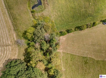 Richardson Road, Eastview, Kentucky 42754, ,2 BathroomsBathrooms,For Sale,Richardson Road,HK24003516 Richardson Road, Eastview, Kentucky 42754, ,2 BathroomsBathrooms,For Sale,Richardson Road,HK24003516