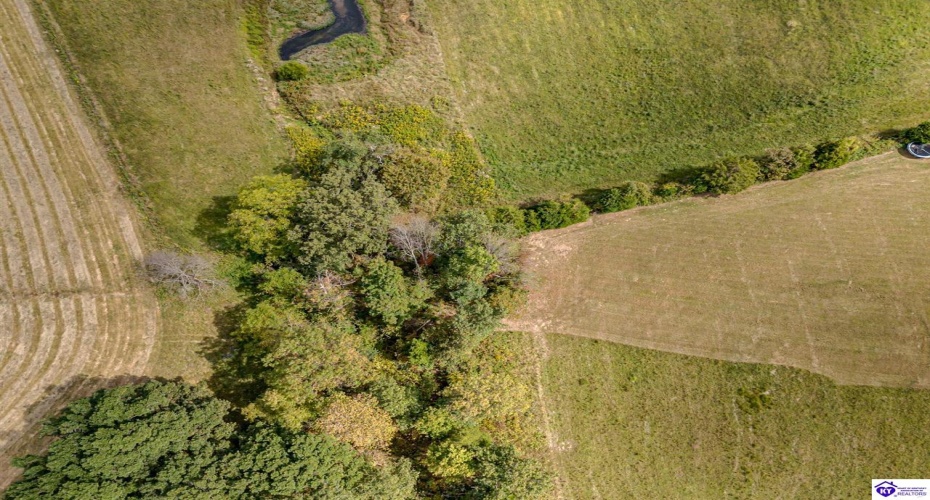 Richardson Road, Eastview, Kentucky 42754, ,2 BathroomsBathrooms,For Sale,Richardson Road,HK24003516 Richardson Road, Eastview, Kentucky 42754, ,2 BathroomsBathrooms,For Sale,Richardson Road,HK24003516