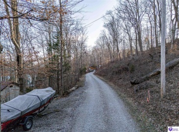 Wilburn Decker Lane, Bee Spring, Kentucky 42207, ,For Sale,Wilburn Decker Lane,HK24003527 Wilburn Decker Lane, Bee Spring, Kentucky 42207, ,For Sale,Wilburn Decker Lane,HK24003527