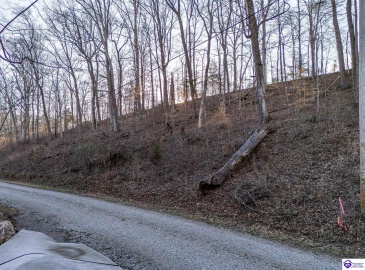 Wilburn Decker Lane, Bee Spring, Kentucky 42207, ,For Sale,Wilburn Decker Lane,HK24003527 Wilburn Decker Lane, Bee Spring, Kentucky 42207, ,For Sale,Wilburn Decker Lane,HK24003527