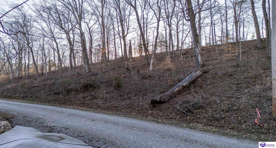 Wilburn Decker Lane, Bee Spring, Kentucky 42207, ,For Sale,Wilburn Decker Lane,HK24003527 Wilburn Decker Lane, Bee Spring, Kentucky 42207, ,For Sale,Wilburn Decker Lane,HK24003527