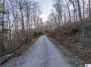 Wilburn Decker Lane, Bee Spring, Kentucky 42207, ,For Sale,Wilburn Decker Lane,HK24003527 Wilburn Decker Lane, Bee Spring, Kentucky 42207, ,For Sale,Wilburn Decker Lane,HK24003527