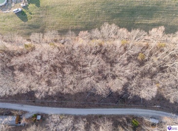 Wilburn Decker Lane, Bee Spring, Kentucky 42207, ,For Sale,Wilburn Decker Lane,HK24003527 Wilburn Decker Lane, Bee Spring, Kentucky 42207, ,For Sale,Wilburn Decker Lane,HK24003527