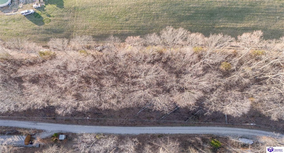 Wilburn Decker Lane, Bee Spring, Kentucky 42207, ,For Sale,Wilburn Decker Lane,HK24003527 Wilburn Decker Lane, Bee Spring, Kentucky 42207, ,For Sale,Wilburn Decker Lane,HK24003527