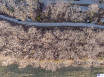 Wilburn Decker Lane, Bee Spring, Kentucky 42207, ,For Sale,Wilburn Decker Lane,HK24003527 Wilburn Decker Lane, Bee Spring, Kentucky 42207, ,For Sale,Wilburn Decker Lane,HK24003527