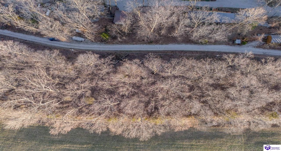 Wilburn Decker Lane, Bee Spring, Kentucky 42207, ,For Sale,Wilburn Decker Lane,HK24003527 Wilburn Decker Lane, Bee Spring, Kentucky 42207, ,For Sale,Wilburn Decker Lane,HK24003527