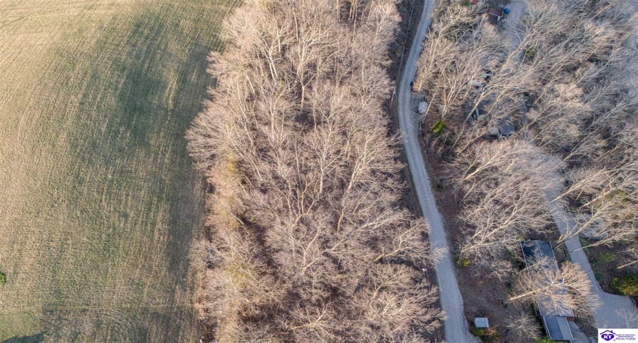 Wilburn Decker Lane, Bee Spring, Kentucky 42207, ,For Sale,Wilburn Decker Lane,HK24003527 Wilburn Decker Lane, Bee Spring, Kentucky 42207, ,For Sale,Wilburn Decker Lane,HK24003527