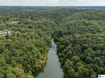 Pineview Drive, Mammoth Cave, Kentucky 42259, ,For Sale,Pineview Drive,HK24003531 Pineview Drive, Mammoth Cave, Kentucky 42259, ,For Sale,Pineview Drive,HK24003531