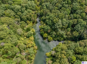 Pineview Drive, Mammoth Cave, Kentucky 42259, ,For Sale,Pineview Drive,HK24003531 Pineview Drive, Mammoth Cave, Kentucky 42259, ,For Sale,Pineview Drive,HK24003531