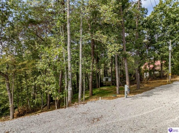 Pineview Drive, Mammoth Cave, Kentucky 42259, ,For Sale,Pineview Drive,HK24003531 Pineview Drive, Mammoth Cave, Kentucky 42259, ,For Sale,Pineview Drive,HK24003531