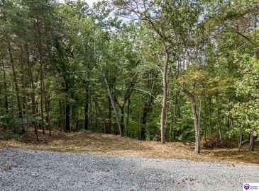 Pineview Drive, Mammoth Cave, Kentucky 42259, ,For Sale,Pineview Drive,HK24003531 Pineview Drive, Mammoth Cave, Kentucky 42259, ,For Sale,Pineview Drive,HK24003531