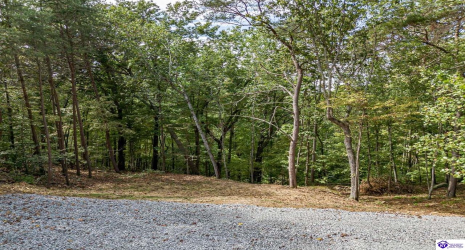 Pineview Drive, Mammoth Cave, Kentucky 42259, ,For Sale,Pineview Drive,HK24003531 Pineview Drive, Mammoth Cave, Kentucky 42259, ,For Sale,Pineview Drive,HK24003531