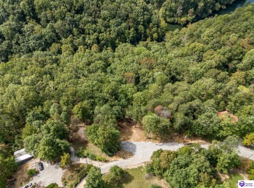 Pineview Drive, Mammoth Cave, Kentucky 42259, ,For Sale,Pineview Drive,HK24003531 Pineview Drive, Mammoth Cave, Kentucky 42259, ,For Sale,Pineview Drive,HK24003531