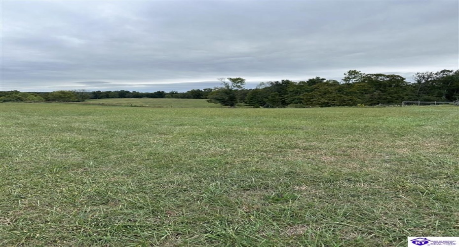 Speck Ridge Road, Campbellsville, Kentucky 42718, ,For Sale,Speck Ridge Road,HK24003536 Speck Ridge Road, Campbellsville, Kentucky 42718, ,For Sale,Speck Ridge Road,HK24003536