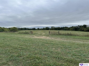 Speck Ridge Road, Campbellsville, Kentucky 42718, ,For Sale,Speck Ridge Road,HK24003536 Speck Ridge Road, Campbellsville, Kentucky 42718, ,For Sale,Speck Ridge Road,HK24003536