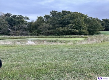 Speck Ridge Road, Campbellsville, Kentucky 42718, ,For Sale,Speck Ridge Road,HK24003536 Speck Ridge Road, Campbellsville, Kentucky 42718, ,For Sale,Speck Ridge Road,HK24003536