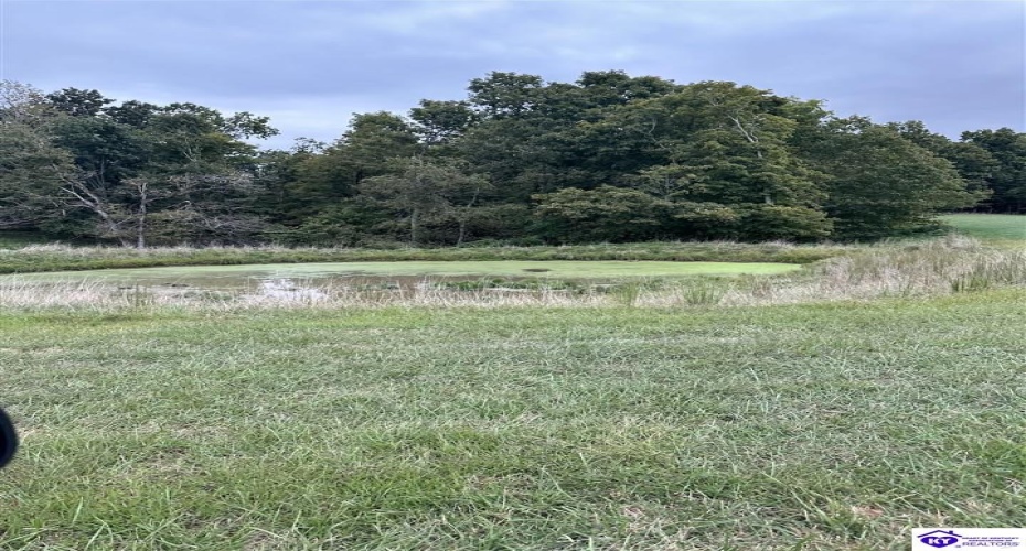 Speck Ridge Road, Campbellsville, Kentucky 42718, ,For Sale,Speck Ridge Road,HK24003536 Speck Ridge Road, Campbellsville, Kentucky 42718, ,For Sale,Speck Ridge Road,HK24003536