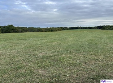 Speck Ridge Road, Campbellsville, Kentucky 42718, ,For Sale,Speck Ridge Road,HK24003536 Speck Ridge Road, Campbellsville, Kentucky 42718, ,For Sale,Speck Ridge Road,HK24003536