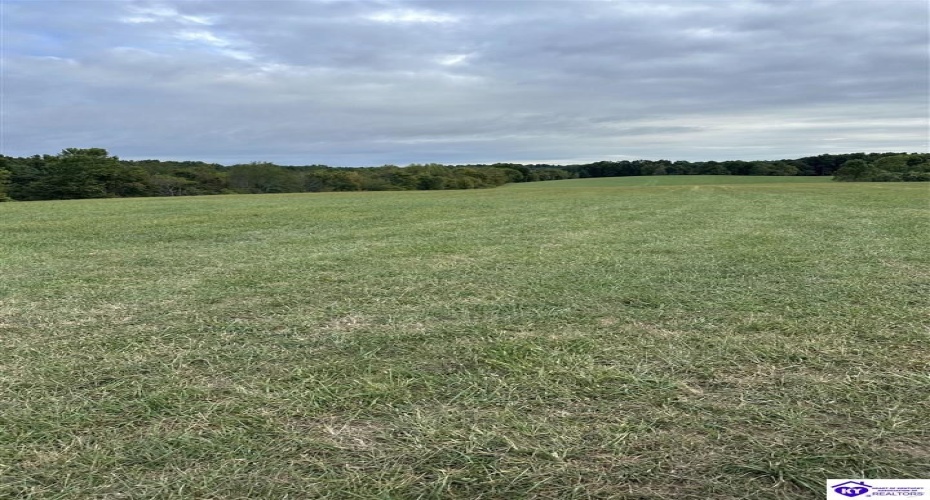 Speck Ridge Road, Campbellsville, Kentucky 42718, ,For Sale,Speck Ridge Road,HK24003536 Speck Ridge Road, Campbellsville, Kentucky 42718, ,For Sale,Speck Ridge Road,HK24003536