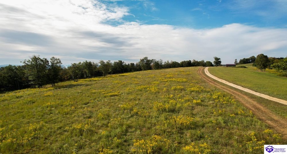 Millerstown Road, Upton, Kentucky 42784, ,For Sale,Millerstown Road,HK24003544