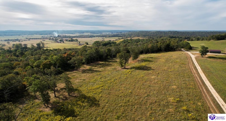 Millerstown Road, Upton, Kentucky 42784, ,For Sale,Millerstown Road,HK24003544