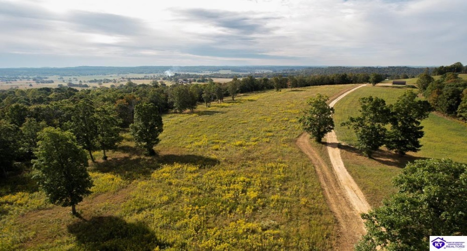 Millerstown Road, Upton, Kentucky 42784, ,For Sale,Millerstown Road,HK24003544