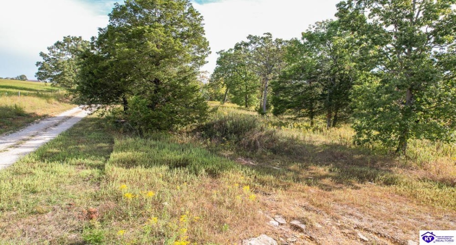 Millerstown Road, Upton, Kentucky 42784, ,For Sale,Millerstown Road,HK24003544