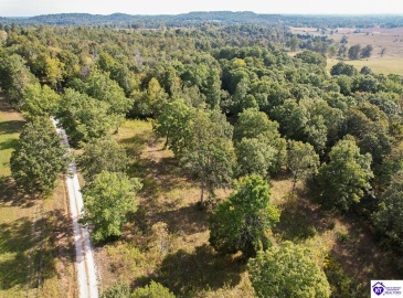 Millerstown Road, Upton, Kentucky 42784, ,For Sale,Millerstown Road,HK24003544 Millerstown Road, Upton, Kentucky 42784, ,For Sale,Millerstown Road,HK24003544