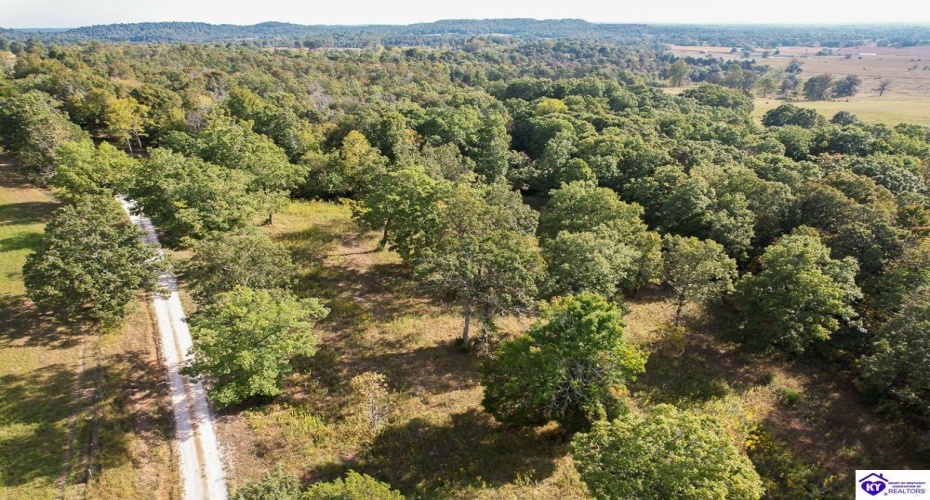 Millerstown Road, Upton, Kentucky 42784, ,For Sale,Millerstown Road,HK24003544