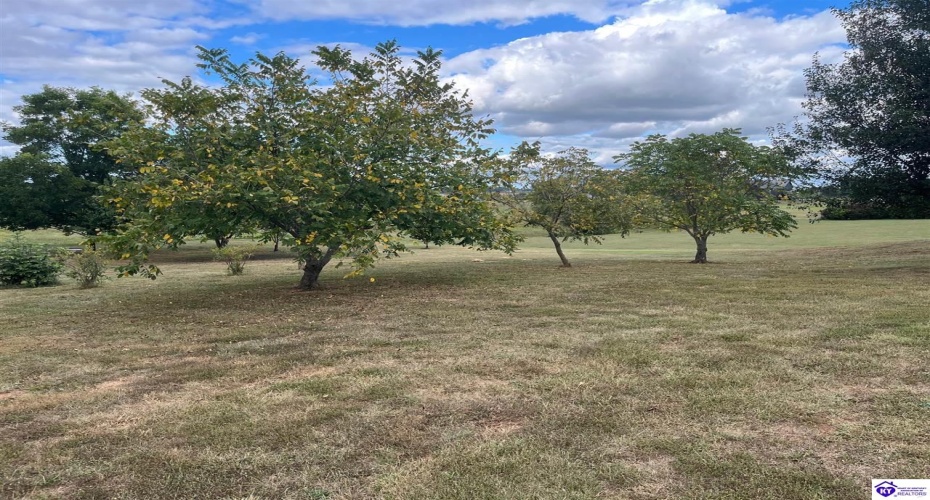 Nolin Road, Sonora, Kentucky 42776, ,2 BathroomsBathrooms,For Sale,Nolin Road,HK24003551 Nolin Road, Sonora, Kentucky 42776, ,2 BathroomsBathrooms,For Sale,Nolin Road,HK24003551