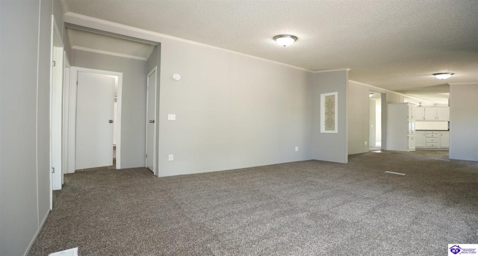 Molly Brown Road, Brandenburg, Kentucky 40108, ,2 BathroomsBathrooms,For Sale,Molly Brown Road,HK24003556