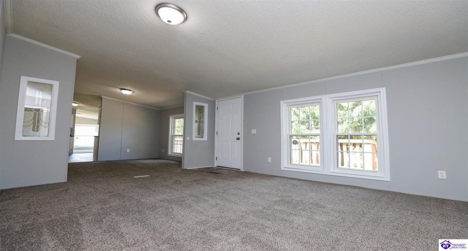 Molly Brown Road, Brandenburg, Kentucky 40108, ,2 BathroomsBathrooms,For Sale,Molly Brown Road,HK24003556