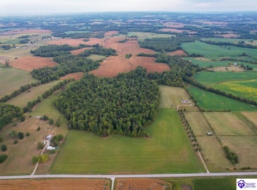 Mt Sherman Road, Magnolia, Kentucky 42757, ,For Sale,Mt Sherman Road,HK24003566 Mt Sherman Road, Magnolia, Kentucky 42757, ,For Sale,Mt Sherman Road,HK24003566