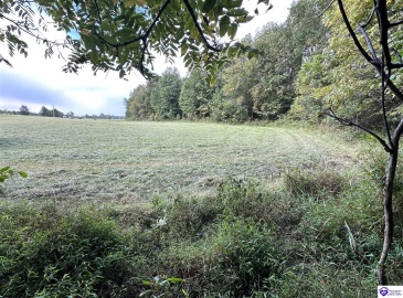 Mt Sherman Road, Magnolia, Kentucky 42757, ,For Sale,Mt Sherman Road,HK24003566 Mt Sherman Road, Magnolia, Kentucky 42757, ,For Sale,Mt Sherman Road,HK24003566