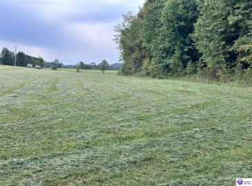 Mt Sherman Road, Magnolia, Kentucky 42757, ,For Sale,Mt Sherman Road,HK24003566 Mt Sherman Road, Magnolia, Kentucky 42757, ,For Sale,Mt Sherman Road,HK24003566