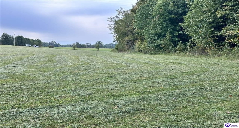 Mt Sherman Road, Magnolia, Kentucky 42757, ,For Sale,Mt Sherman Road,HK24003566