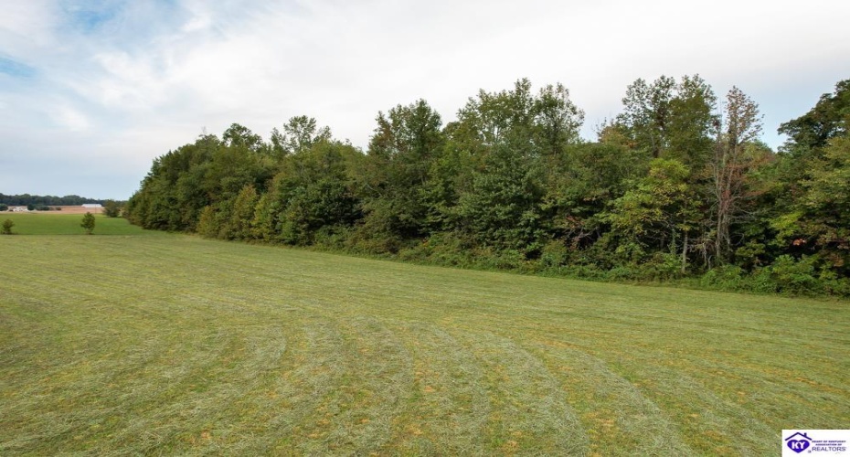 Mt Sherman Road, Magnolia, Kentucky 42757, ,For Sale,Mt Sherman Road,HK24003566