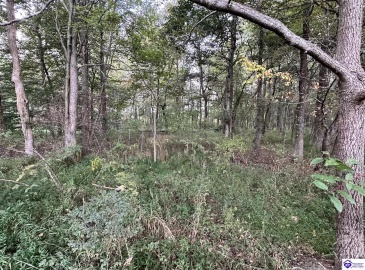 Mt Sherman Road, Magnolia, Kentucky 42757, ,For Sale,Mt Sherman Road,HK24003567