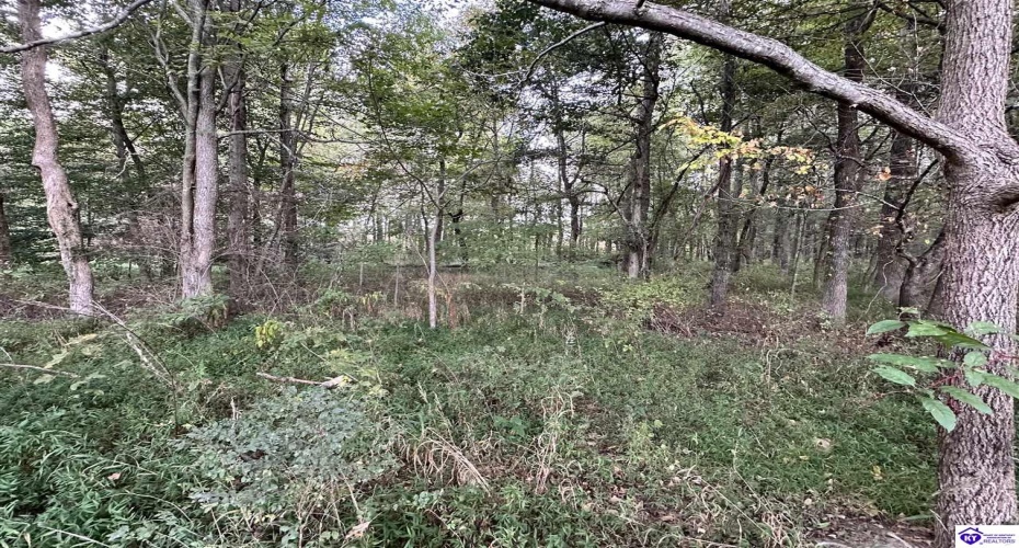 Mt Sherman Road, Magnolia, Kentucky 42757, ,For Sale,Mt Sherman Road,HK24003567