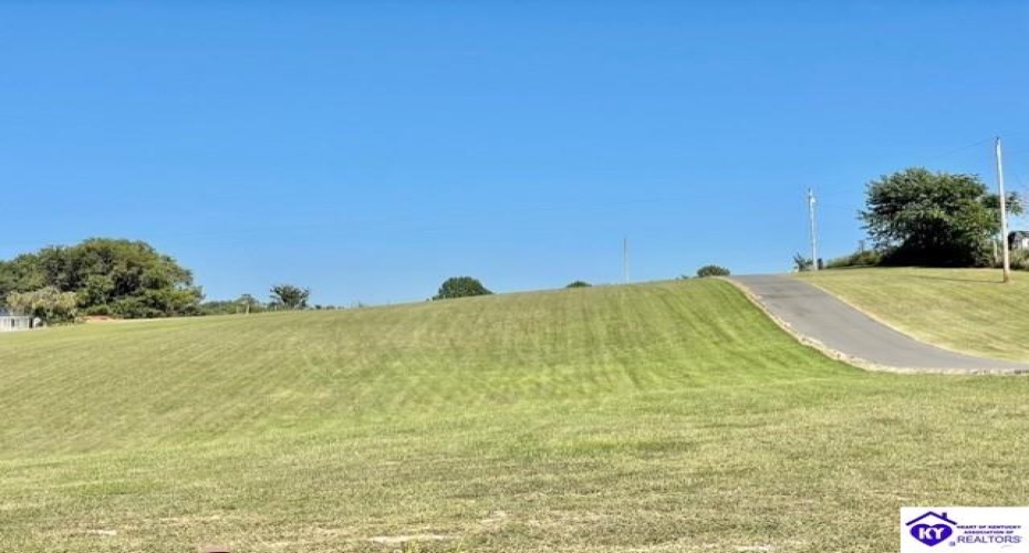 Weed Keltner Road, Edmonton, Kentucky 42718, ,3 BathroomsBathrooms,For Sale,Weed Keltner Road,HK24003561