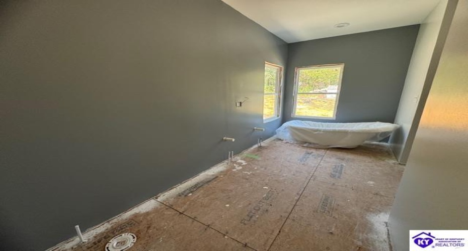 Mills Campsite Lane, Hudson, Kentucky 40145, ,2 BathroomsBathrooms,For Sale,Mills Campsite Lane,HK24003572