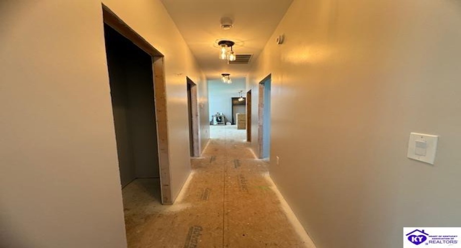 Mills Campsite Lane, Hudson, Kentucky 40145, ,2 BathroomsBathrooms,For Sale,Mills Campsite Lane,HK24003572