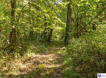 Church Street, Horse Cave, Kentucky 42749, ,For Sale,Church Street,HK24003588 Church Street, Horse Cave, Kentucky 42749, ,For Sale,Church Street,HK24003588