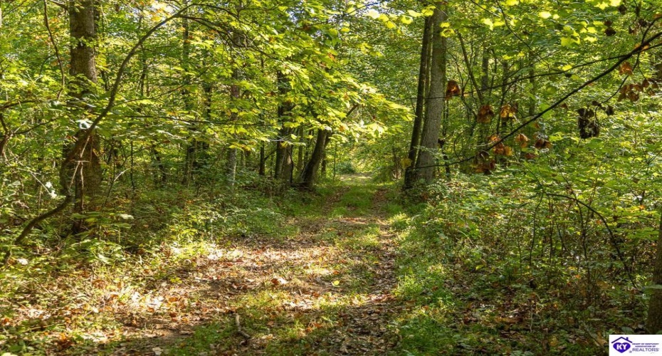 Church Street, Horse Cave, Kentucky 42749, ,For Sale,Church Street,HK24003588